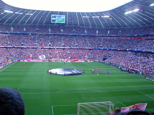 Bayern München - VFL WOLFSBURG - 