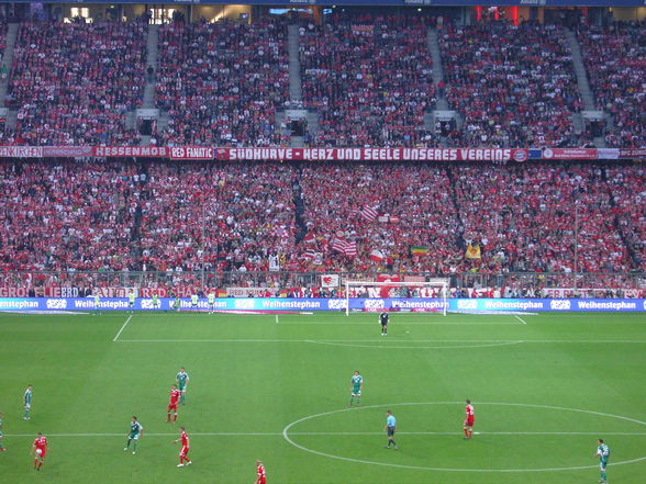 Bayern München - VFL WOLFSBURG - 