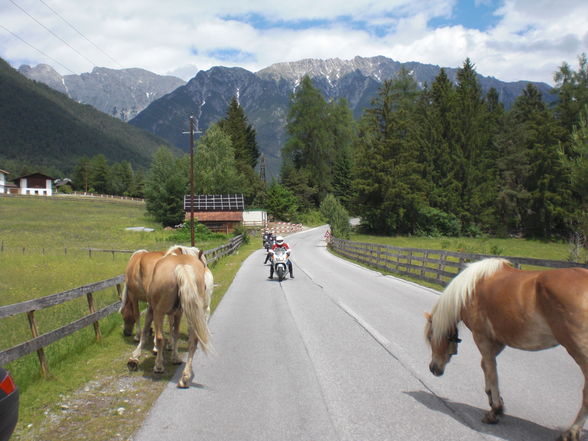 mei mau und sei bike.... - 