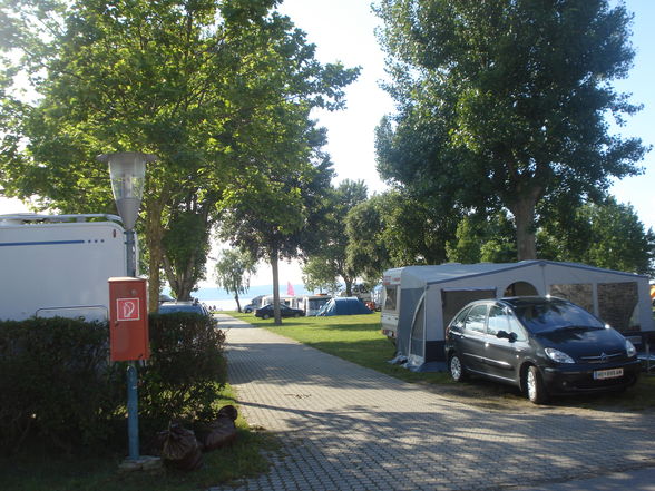 Neusiedlersee 2009 - 