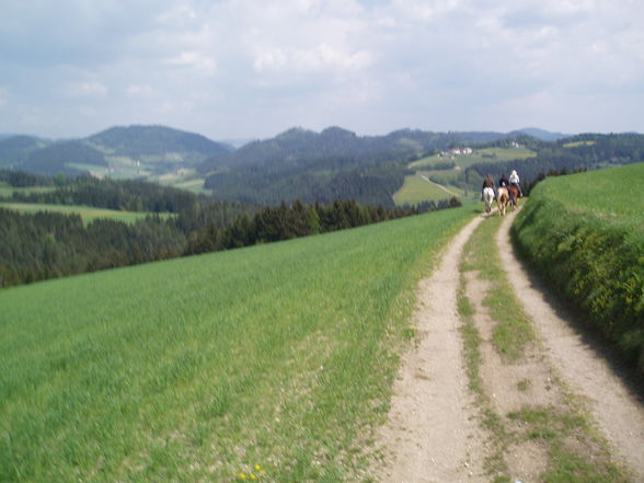 Wanderreiten - 