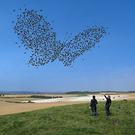 In love with .... Storm Thorgerson - 