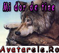 Tiere - 