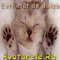 Tiere - 