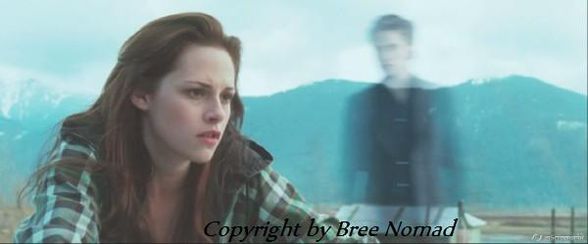 New Moon- the Movie - 