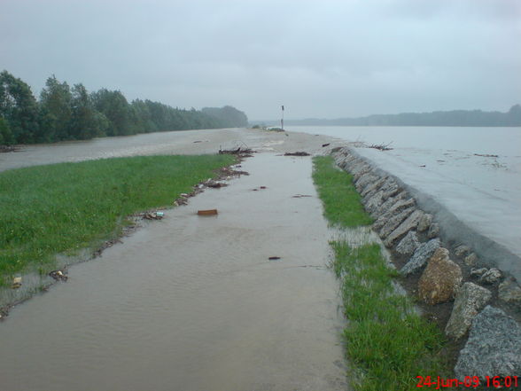 ?hochwasserschaun? - 