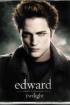 twilight - 