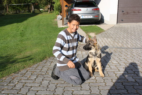 Unsere neuer Hund Jumpie - 