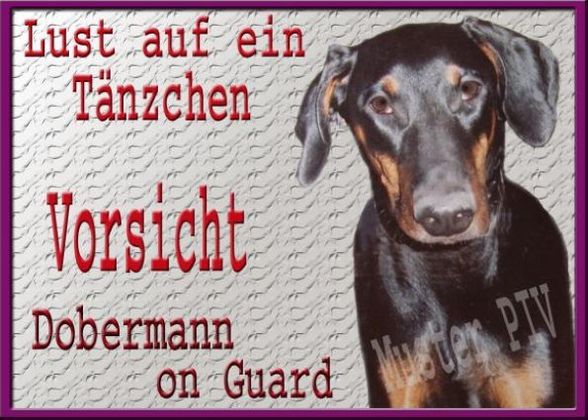 hunde - 