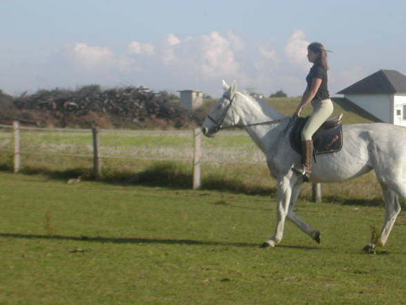 [l'équitation] - 