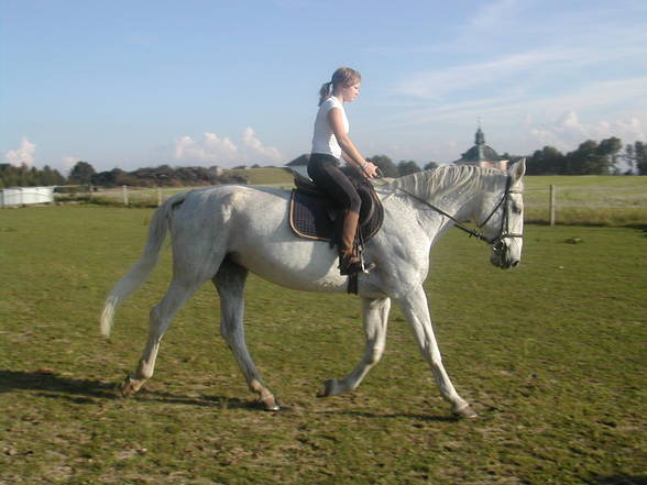 [l'équitation] - 