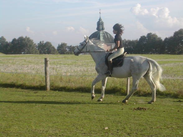 [l'équitation] - 