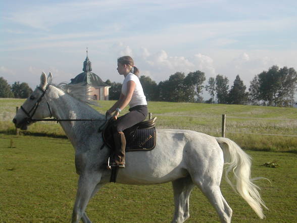 [l'équitation] - 