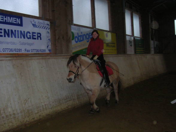 [l'équitation] - 