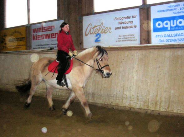 [l'équitation] - 