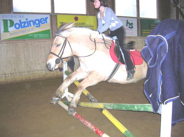 [l'équitation] - 