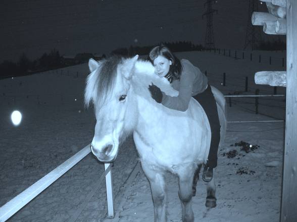 [l'équitation] - 