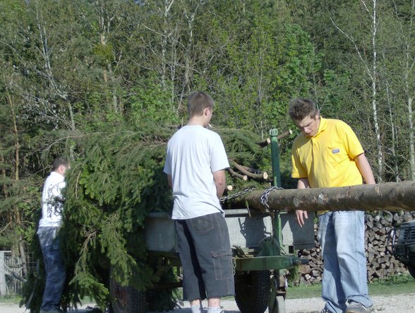 Maibaum holen in NÖ 2007 - 