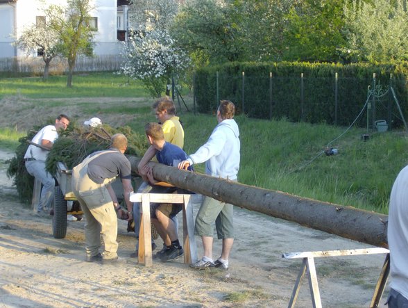 Maibaum holen in NÖ 2007 - 