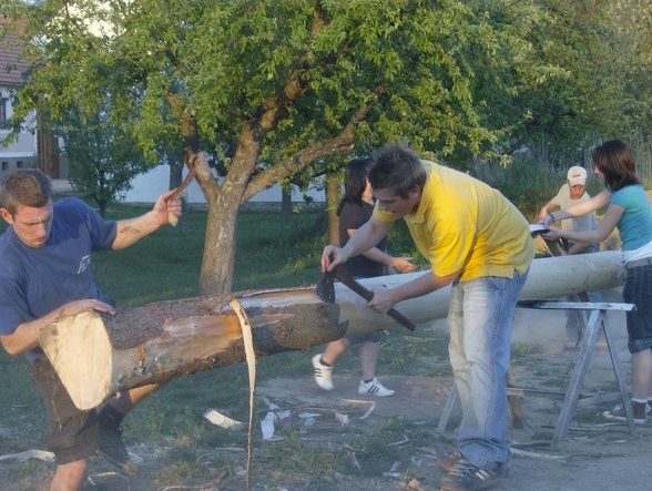 Maibaum holen in NÖ 2007 - 