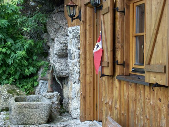 strudelhunde auf der löfflerhütte - 