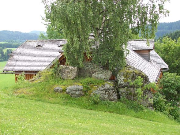 strudelhunde auf der löfflerhütte - 