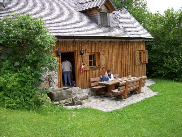 strudelhunde auf der löfflerhütte - 