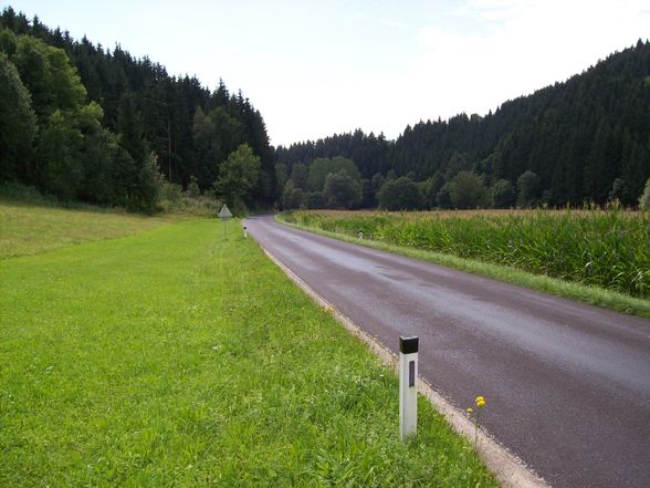 was schönes fürs auge - 