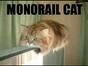 MonorailCat & Others - 