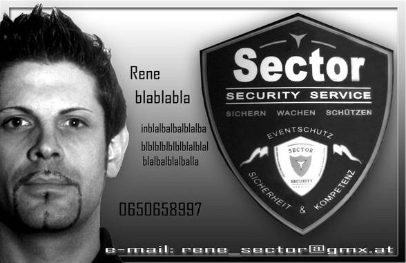 Sector Security Service - 