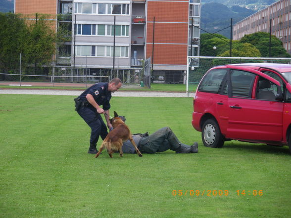 Polizeifest BPD Linz - 