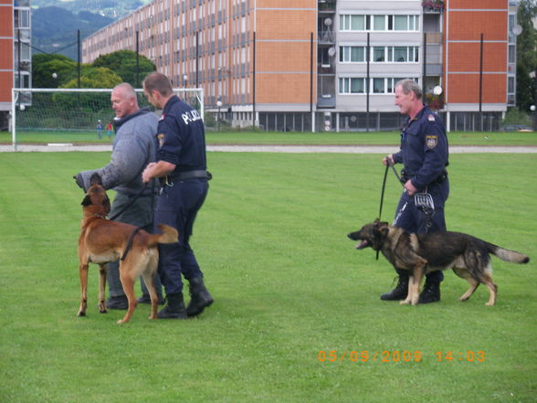 Polizeifest BPD Linz - 