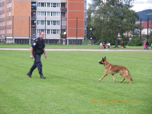 Polizeifest BPD Linz - 