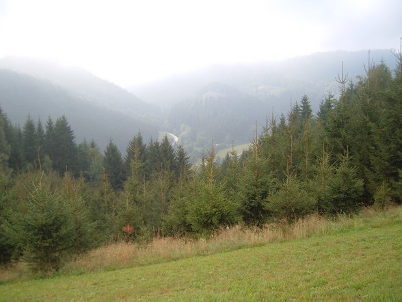 BaD ZeLL - 