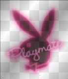 PlaYboY - 