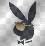 PlaYboY - 