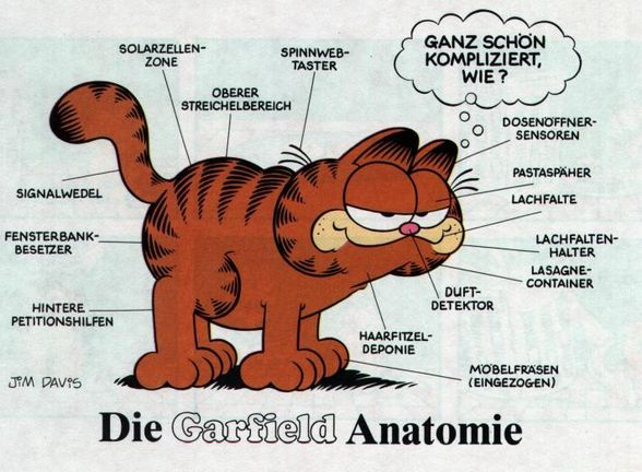 Garfield - 