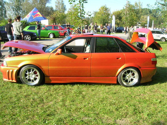 Cult Society Tunning 07 steyer - 