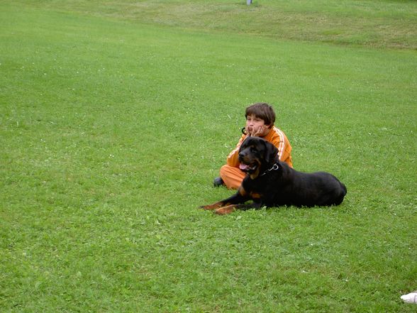 Hunde und -Sport - 