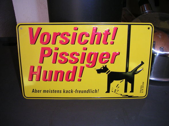 Hunde und -Sport - 