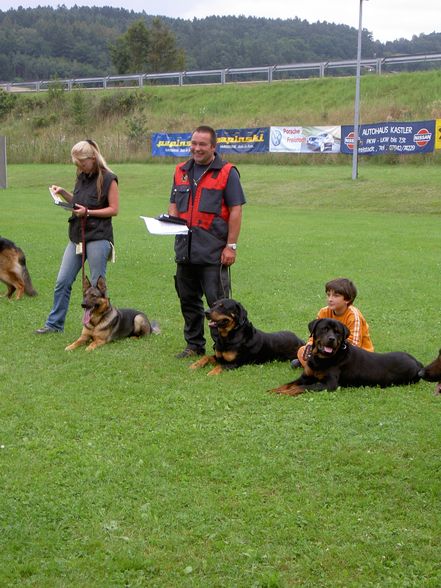 Hunde und -Sport - 