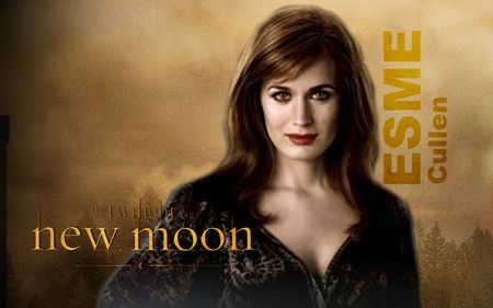 Twilight/New Moon - 