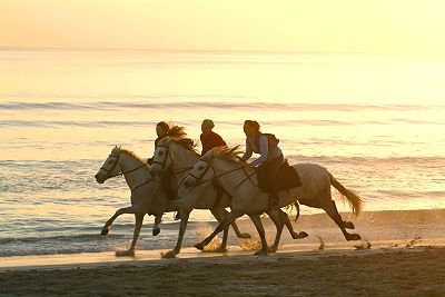 AM STRAND (voi cool)  - 