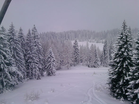 Skifahren auf der Höss 13.2.2010 - 