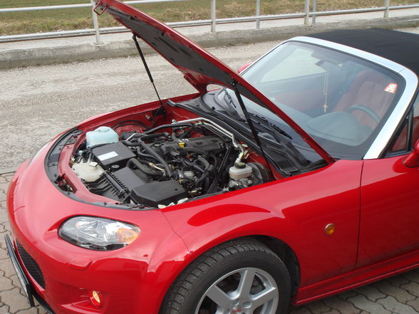 Roadster Mazda MX - 5 - 