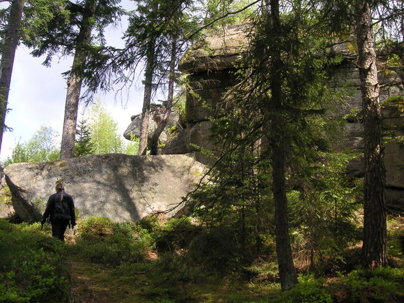 Tour Liebenstein (Mühlviertler Alm) - 