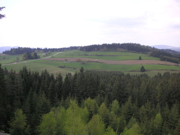 Tour Liebenstein (Mühlviertler Alm) - 