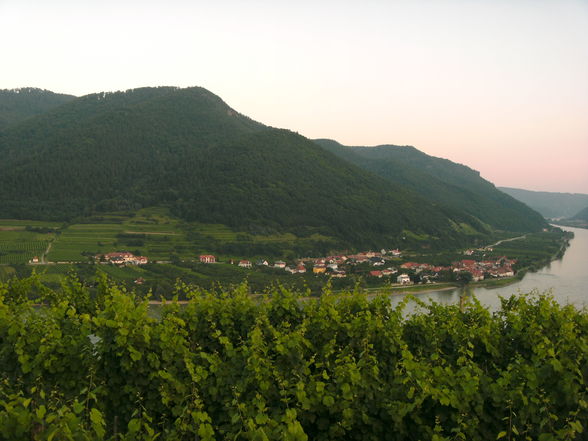 Wachau - 