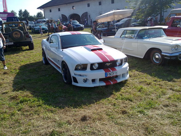 US - Car treffen 2010 Buchkirchen  - 