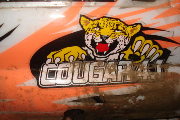 Mein nitro auto ,,COUGAR´´ - 